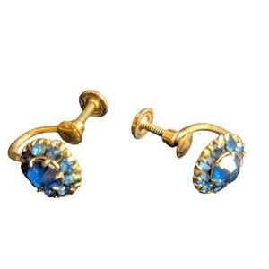 Vintage Blue Rhinestone Halo Screw Back‎ Earrings Gold Tone Cluster Jewelry